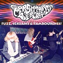 MARSHMALLOW OVERCOAT Fuzz, Screams & Tambourines!